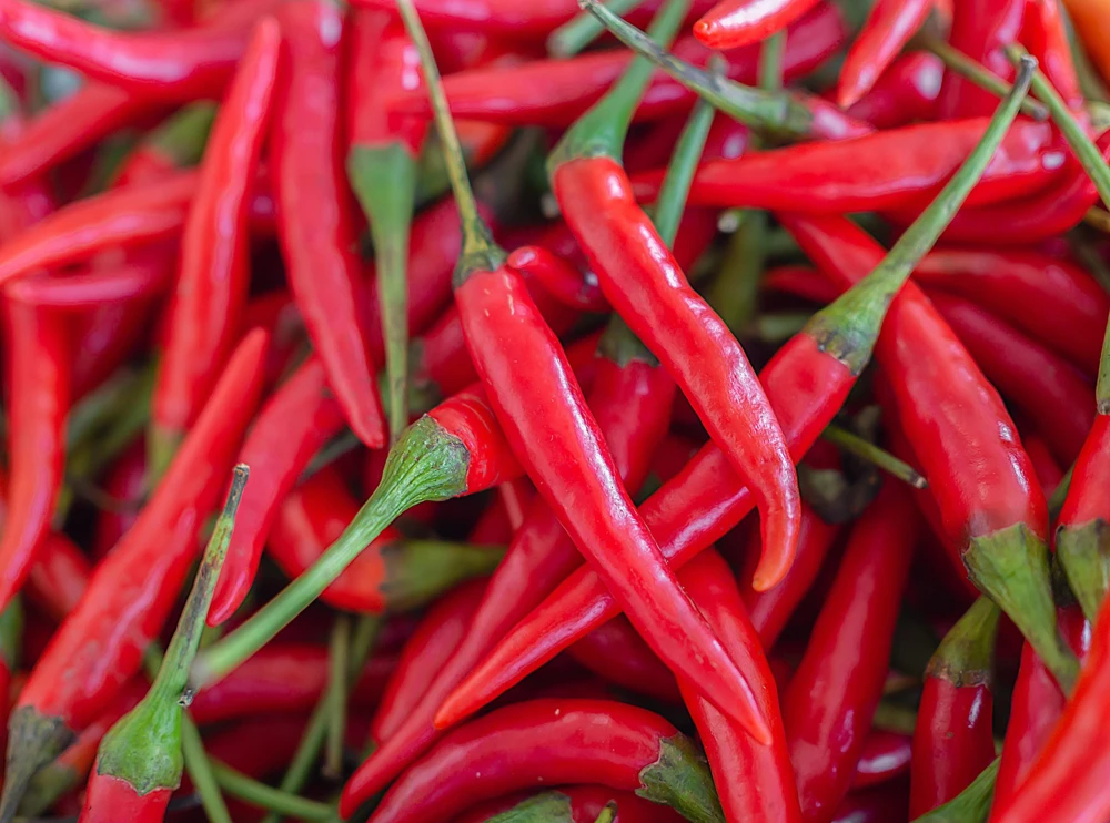 300 Red Cayenne Pepper Seeds - Hot Capsicum Annuum Vegetable Seeds - Image 1