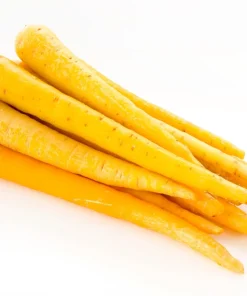 300 Solar Yellow Carrot Seeds - Daucus Carota Vegetable Seeds - Image 3