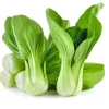 3500 Green Pak Choi Seeds for Planting - Shanghai Bok Choy Vegetable Seeds - Image 1