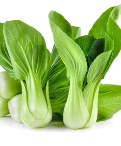3500 Green Pak Choi Seeds for Planting - Shanghai Bok Choy Vegetable Seeds - Image 1