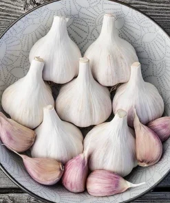 4 Music Garlic Bulbs for Planting - White Hardneck Garlic for Home Garden - Image 2