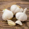 4 Music Garlic Bulbs for Planting - White Hardneck Garlic for Home Garden - Image 1