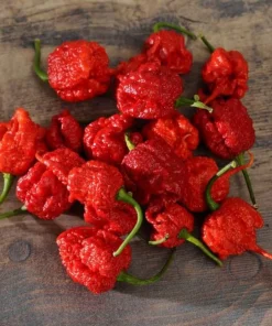 4 Pack Carolina Reaper Pepper Live Plants - Hot Red Chili Peppers, 4-6 Inch Tall - Image 7