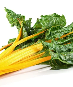 40 Canary Swiss Chard Seeds - Yellow Stems, Perpetual Spinach Vegetable - Image 3