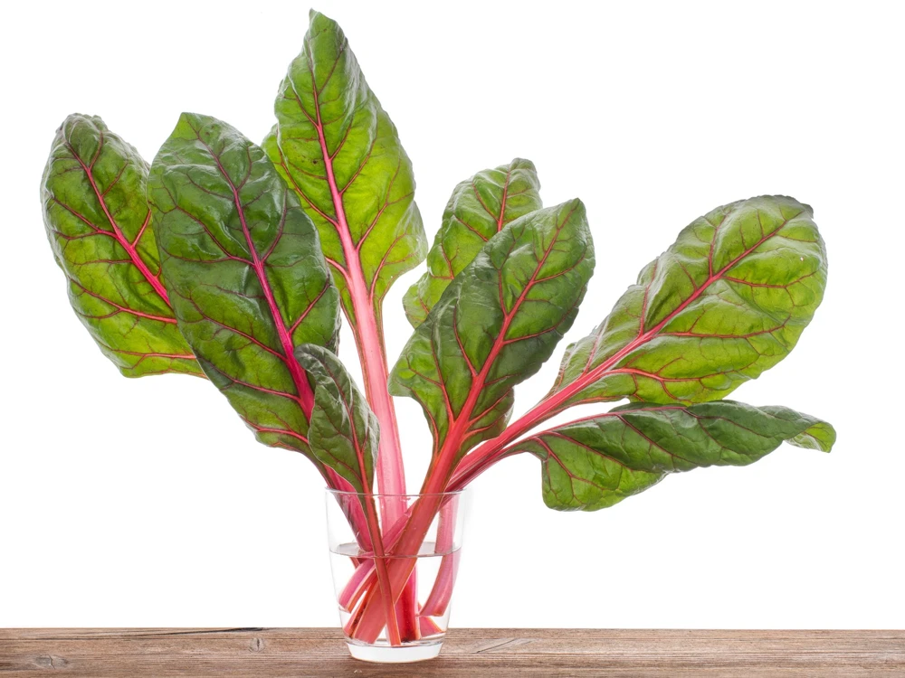 40 Pink Flamingo Swiss Chard Seeds - Beta Vulgaris Vegetable Garden - Image 5