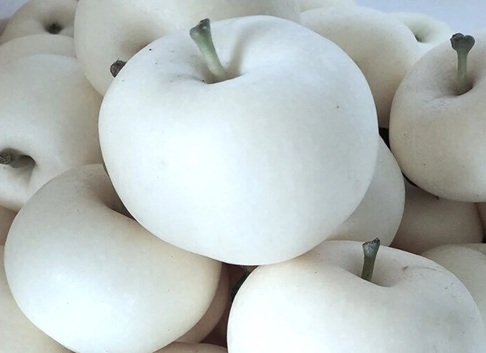 40 White Ghost Apple Tree Seeds - Edible Fruit Seeds - Image 1