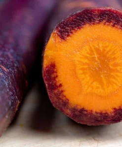 400 Cosmic Purple Carrot Seeds - Daucus Carota Vegetable Seeds - Image 2