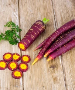 400 Cosmic Purple Carrot Seeds - Daucus Carota Vegetable Seeds - Image 3