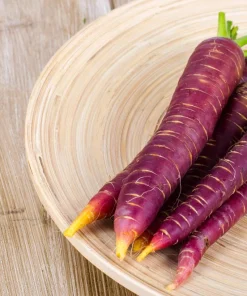400 Cosmic Purple Carrot Seeds - Daucus Carota Vegetable Seeds - Image 4