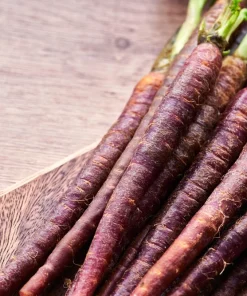 400 Cosmic Purple Carrot Seeds - Daucus Carota Vegetable Seeds - Image 6