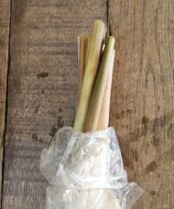 5 Lemongrass Live Plugs – Cymbopogon citratus Herb Plants, Culinary, Easy Grow - Image 5