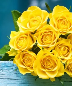 5 Yellow Rose Seeds – Shrub Perennial Flower Seeds – Beautiful Garden Blooms - Image 4