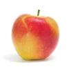 50 Ambrosia Apple Tree Seeds - Red Fruit Tree Seeds - Edible Apples - Image 1