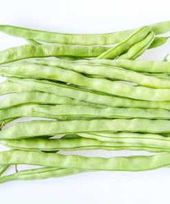 50 Kentucky Wonder Pole Bean Seeds - Phaseolus Vulgaris Vegetable Seeds - Image 4