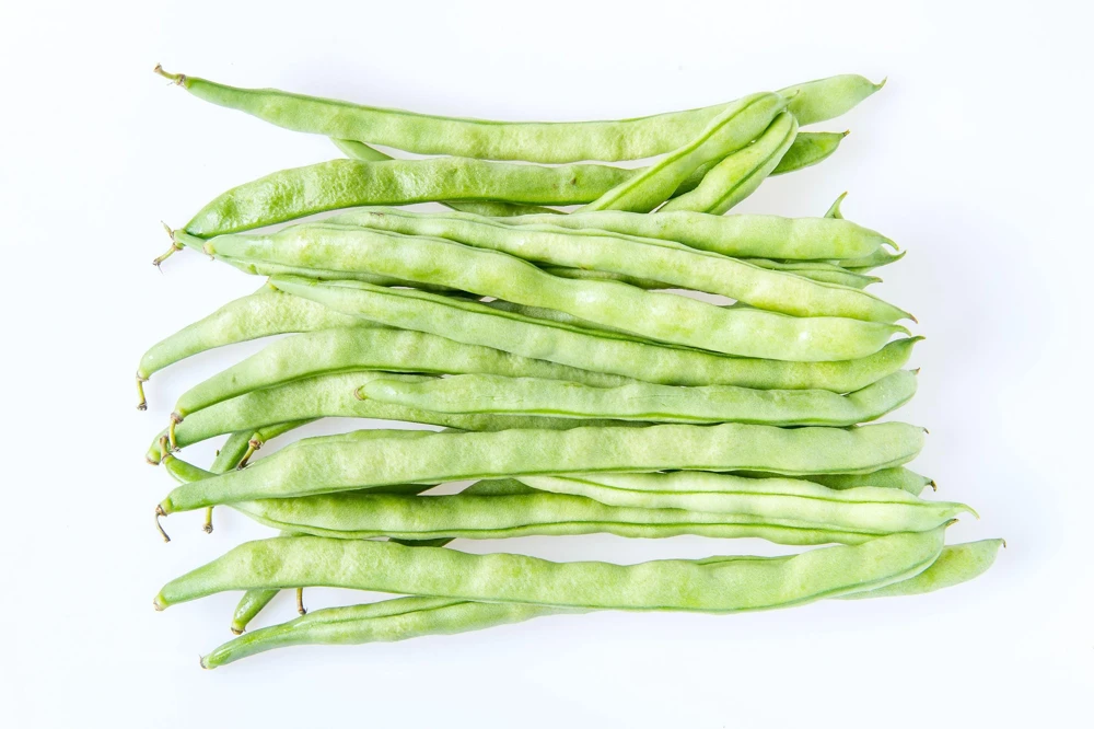 50 Kentucky Wonder Pole Bean Seeds - Phaseolus Vulgaris Vegetable Seeds - Image 4