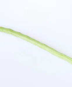 50 Kentucky Wonder Pole Bean Seeds - Phaseolus Vulgaris Vegetable Seeds - Image 5