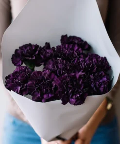 50 King of Blacks Carnation Seeds - Dianthus Caryophyllus Grenadin Double Flower Seeds - Image 7
