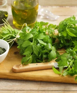 50 Lovage Herb Flower Seeds - Levisticum Officinale - Celery & Anise Flavor - Image 2