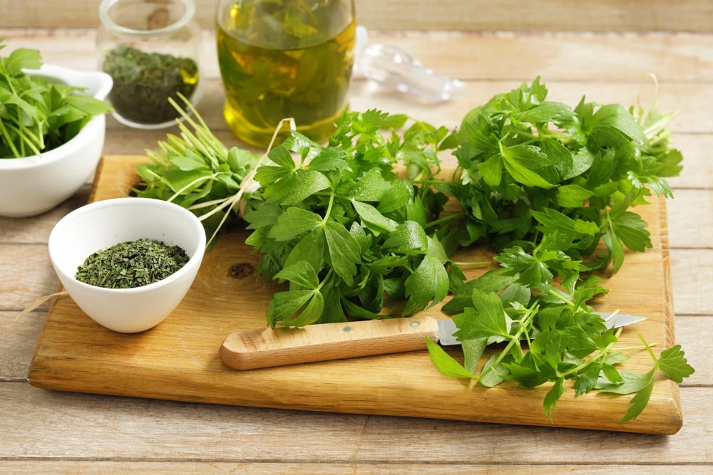 50 Lovage Herb Flower Seeds - Levisticum Officinale - Celery & Anise Flavor - Image 2