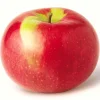 50 McIntosh Apple Tree Seeds - Edible Fruit, Fresh & Ready to Grow - Image 1