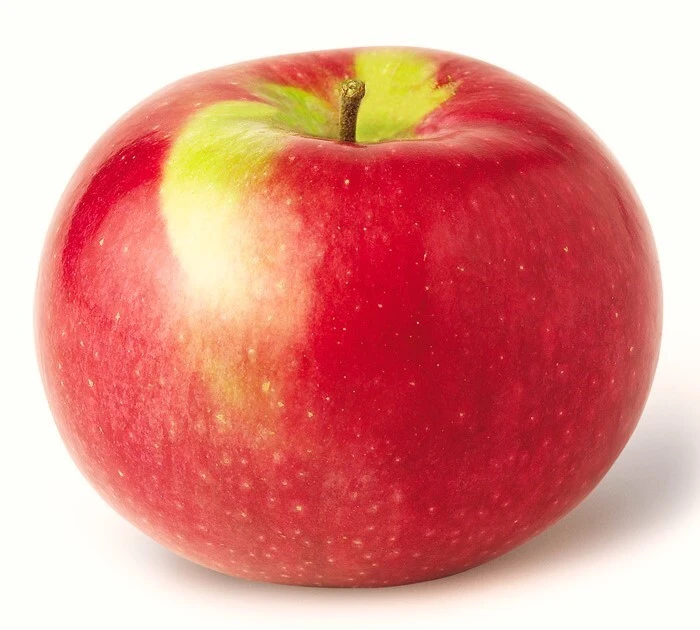50 McIntosh Apple Tree Seeds - Edible Fruit, Fresh & Ready to Grow - Image 1