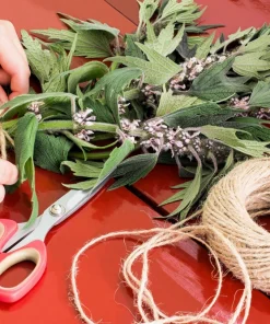 50 Motherwort Seeds (Lion's Tail) - Leonurus Cardiaca Herb Flower Seeds, Pale Pink-Purple Blooms - Image 9