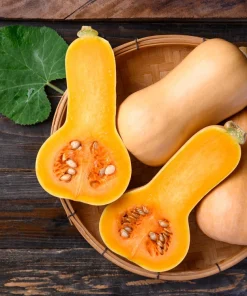 50 Waltham Butternut Squash Seeds - Winter Vegetable Seeds for Planting - Image 4