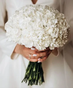50 White Carnation Seeds - Dianthus Caryophyllus Grenadin Flower Seeds - Image 11