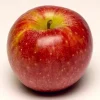 50 Winesap Apple Tree Seeds - Edible Fruit Seeds for Planting - Image 1