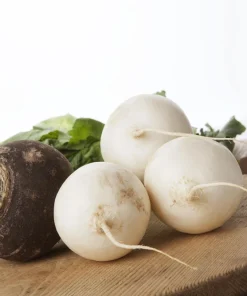 500 Hailstone White Globe Radish Seeds - Raphanus Sativus Vegetable - Image 3