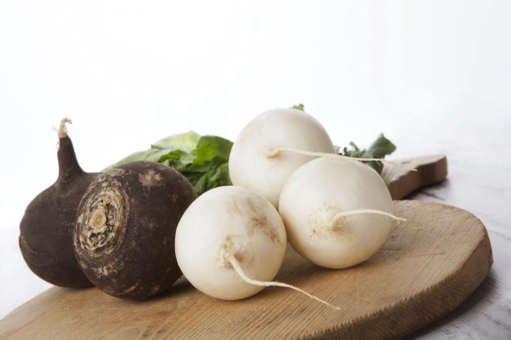 500 Hailstone White Globe Radish Seeds - Raphanus Sativus Vegetable - Image 3