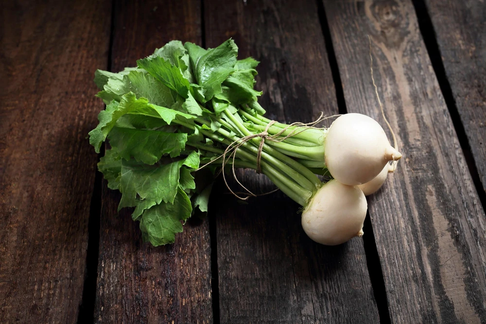 500 Hailstone White Globe Radish Seeds - Raphanus Sativus Vegetable - Image 6