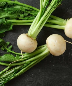 500 Hailstone White Globe Radish Seeds - Raphanus Sativus Vegetable - Image 7