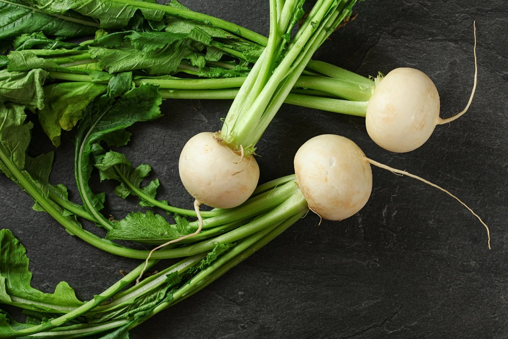 500 Hailstone White Globe Radish Seeds - Raphanus Sativus Vegetable - Image 7