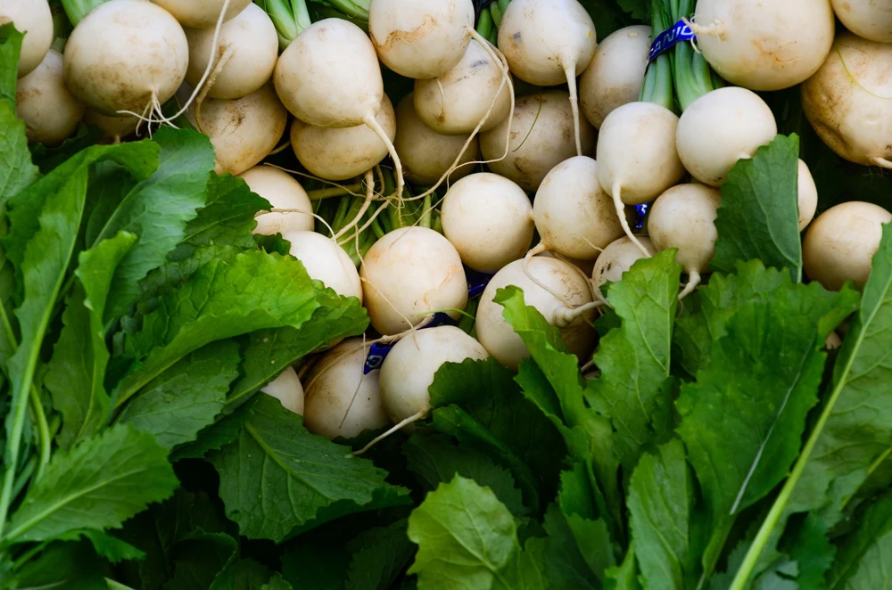 500 Hailstone White Globe Radish Seeds - Raphanus Sativus Vegetable - Image 8