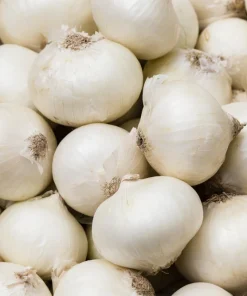 500 Sweet WHITE SPANISH ONION Allium Cepa Vegetable Seeds - Image 7