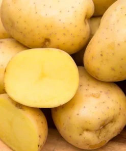 70 Mixed Potato Seeds – Heirloom Vegetable Seeds for Planting – Grow Your Own - Image 6