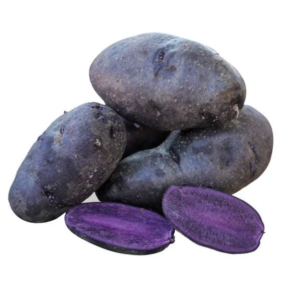 70 Purple Potato Seeds for Planting - Easy Grow Sweet Potato Seeds - Image 2