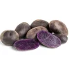 70 Purple Potato Seeds for Planting - Easy Grow Sweet Potato Seeds - Image 1