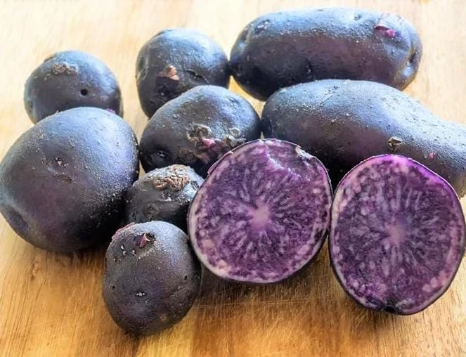 70 Purple Potato Seeds for Planting - Easy Grow Sweet Potato Seeds - Image 4