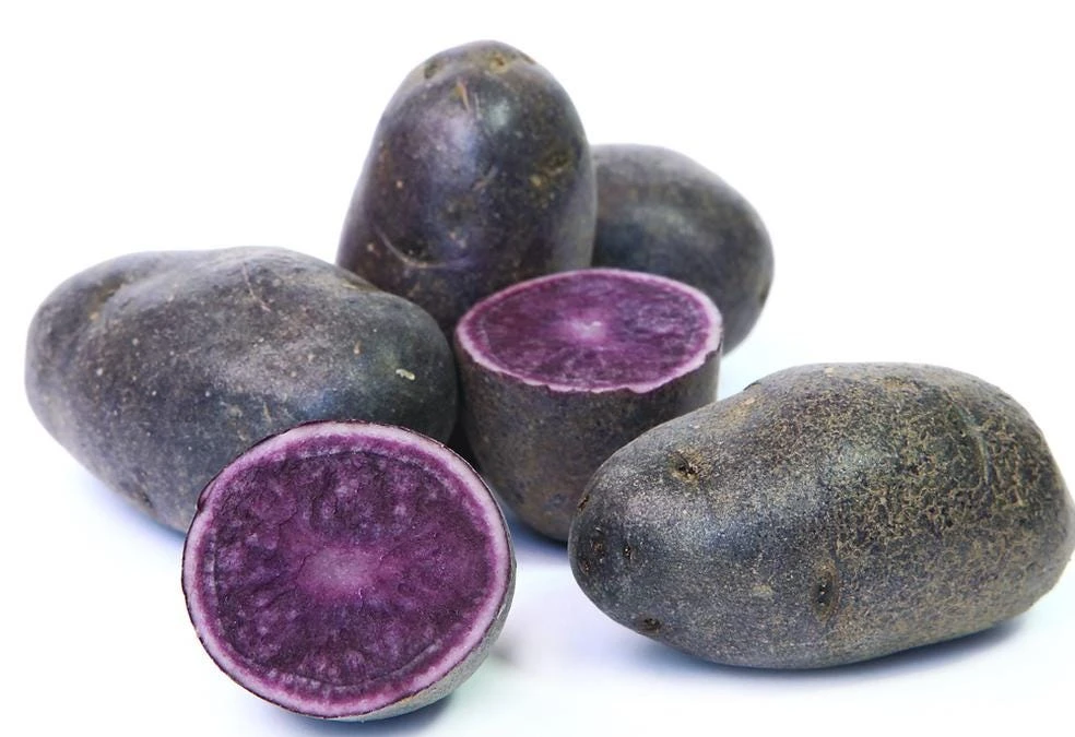 70 Purple Potato Seeds for Planting - Easy Grow Sweet Potato Seeds - Image 6