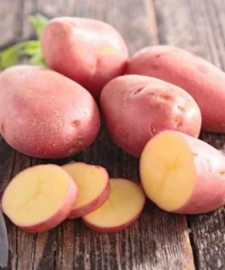 70 Red Potato Seeds for Planting - Easy Growing, Red-Skinned Potatoes - Image 3