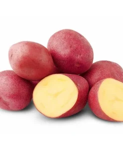 70 Red Potato Seeds for Planting - Easy Growing, Red-Skinned Potatoes - Image 1