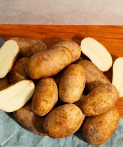70 Russet Potato Seeds for Planting - Heirloom Vegetable Garden Seeds - Image 4