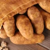 70 Russet Potato Seeds for Planting - Heirloom Vegetable Garden Seeds - Image 1