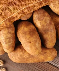70 Russet Potato Seeds for Planting - Heirloom Vegetable Garden Seeds - Image 1