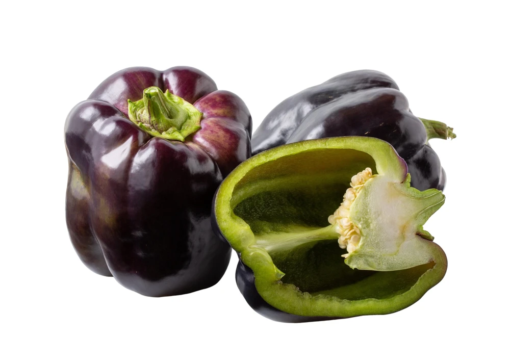 75 Purple Beauty Bell Pepper Seeds - Sweet Mild Capsicum Annuum Vegetable - Image 6