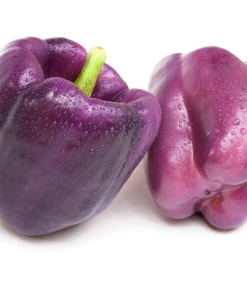 75 Purple Beauty Bell Pepper Seeds - Sweet Mild Capsicum Annuum Vegetable - Image 7
