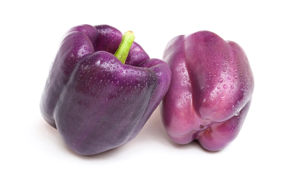 75 Purple Beauty Bell Pepper Seeds - Sweet Mild Capsicum Annuum Vegetable - Image 7