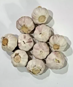 8 Count Music Hardneck Garlic Bulbs for Planting - White Garlic Tubers - Image 2